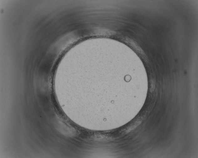 X0000087400632200705181333