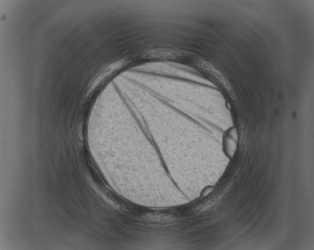 X0000087400633200705181333