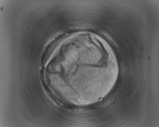 X0000087400634200705181333