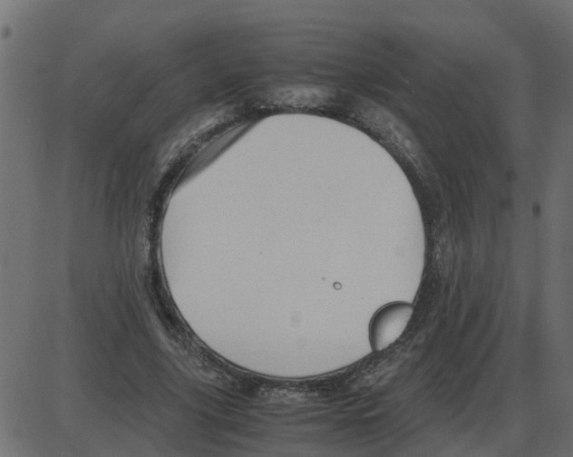 X0000087400635200705181333