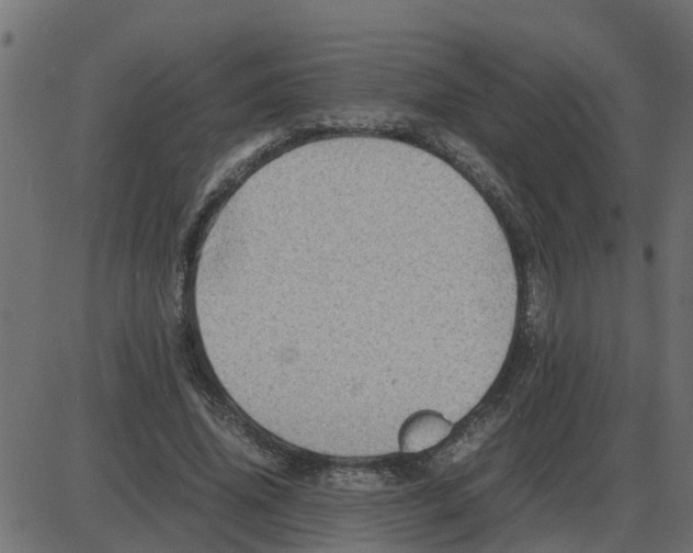 X0000087400636200705181333