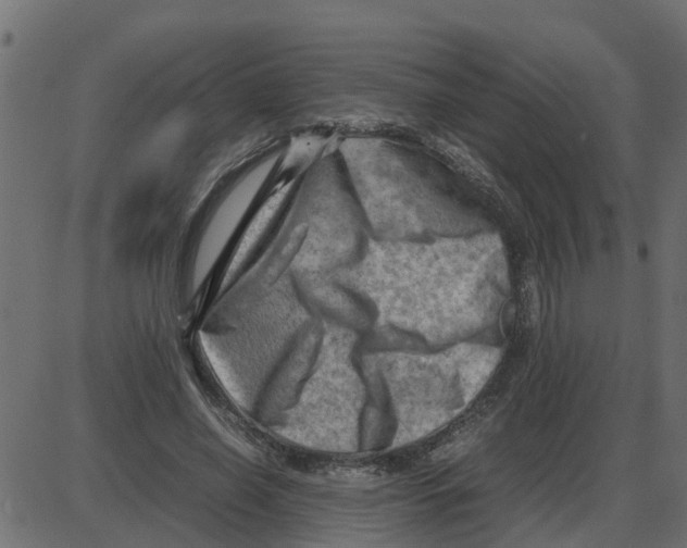 X0000087400638200705181333