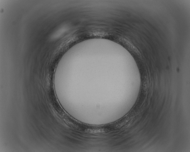 X0000087400639200705181333