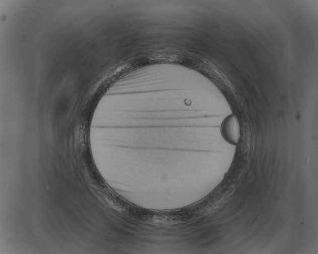 X0000087400641200705181333