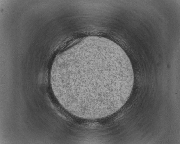 X0000087400642200705181333