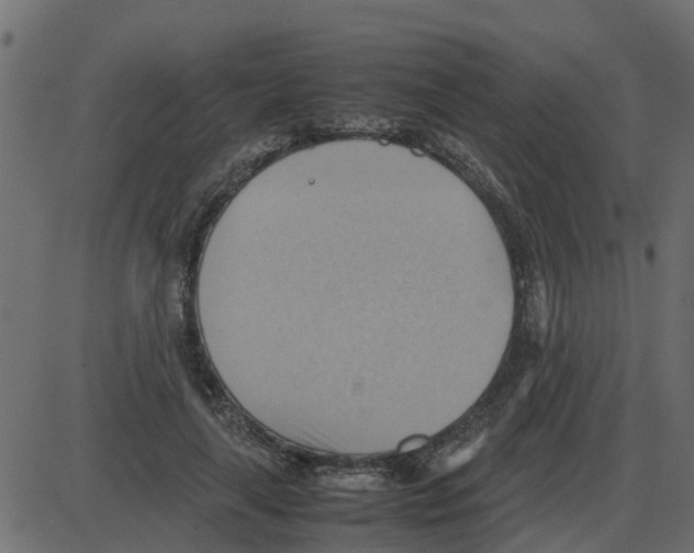 X0000087400643200705181333