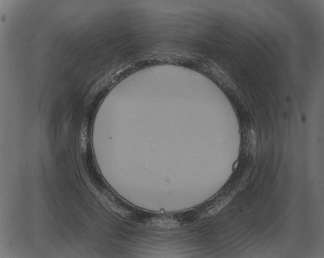 X0000087400644200705181333