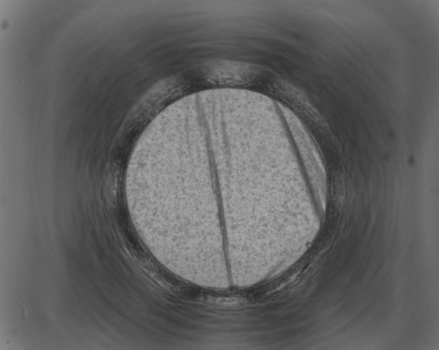 X0000087400645200705181333