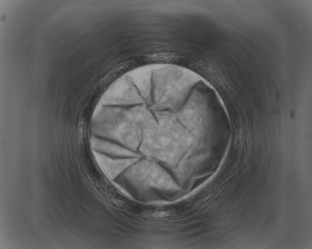 X0000087400647200705181333