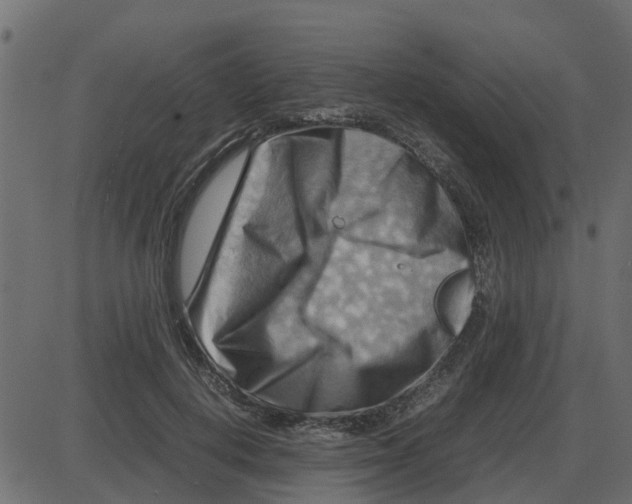 X0000087400648200705181333