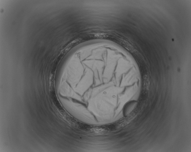 X0000087400650200705181333