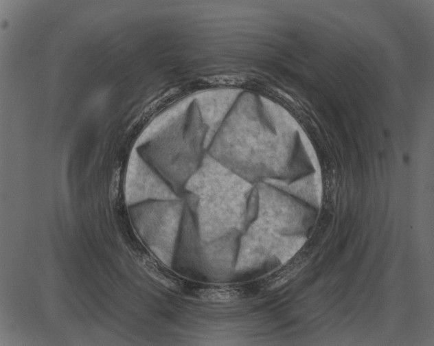 X0000087400652200705181333