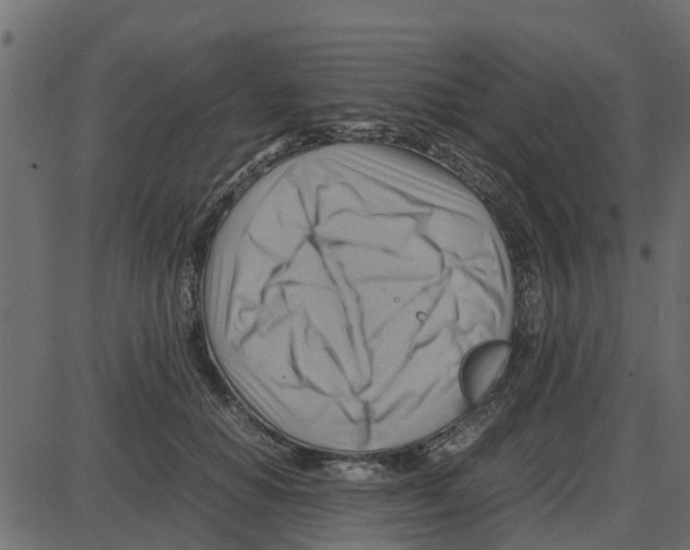 X0000087400654200705181333