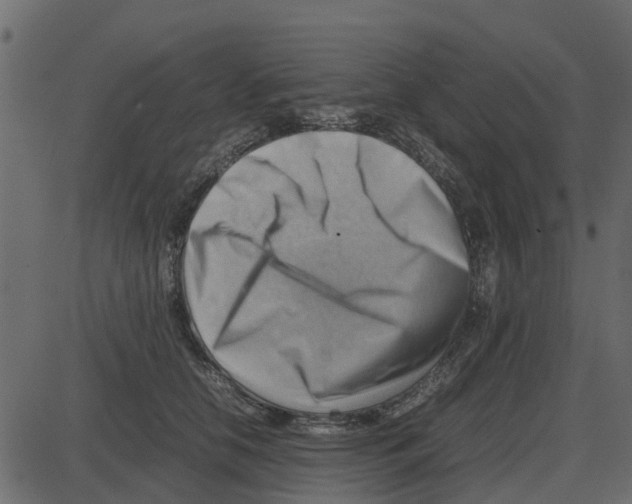 X0000087400658200705181334