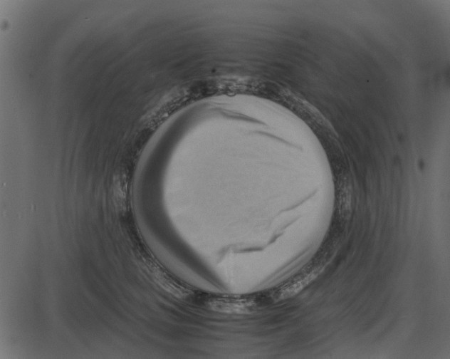 X0000087400661200705181334