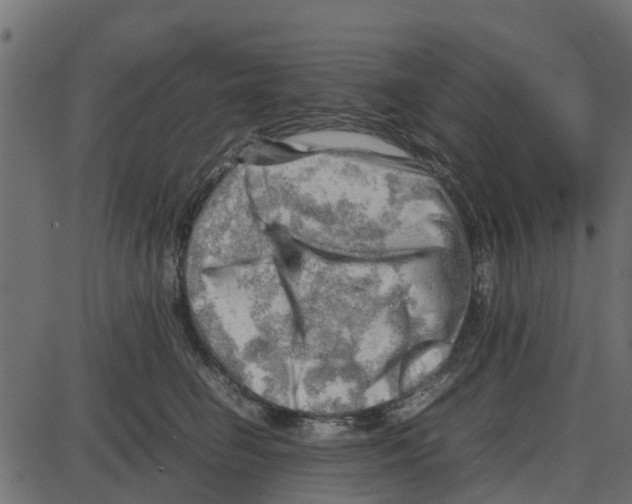 X0000087400662200705181334