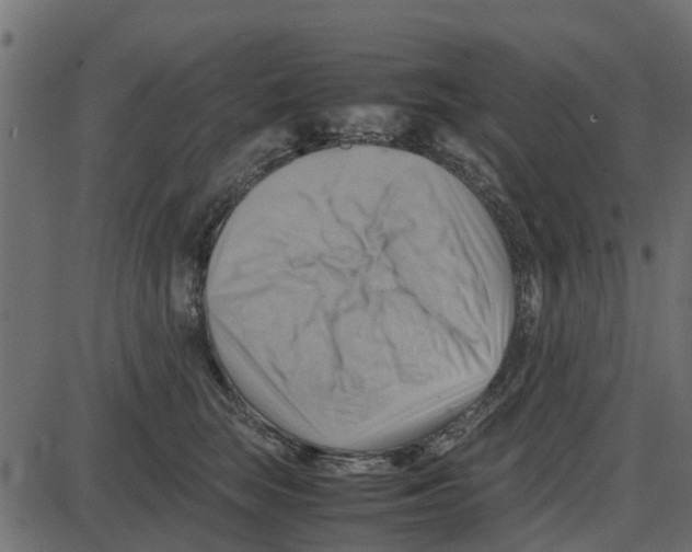 X0000087400663200705181334