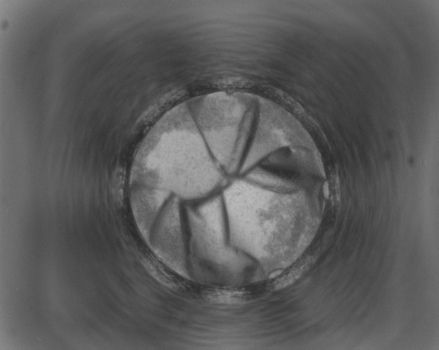 X0000087400664200705181334