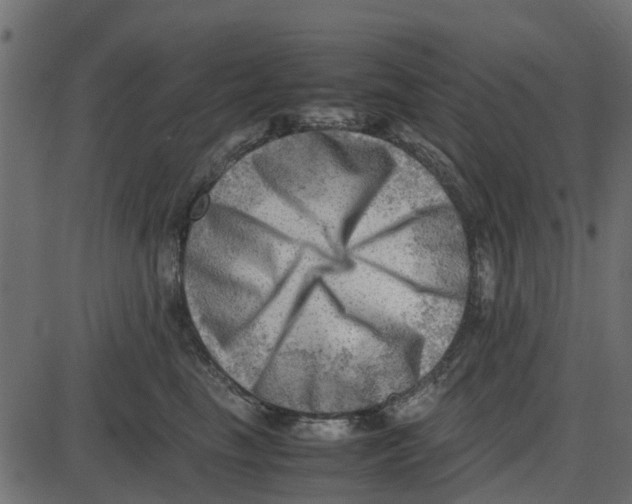 X0000087400665200705181334