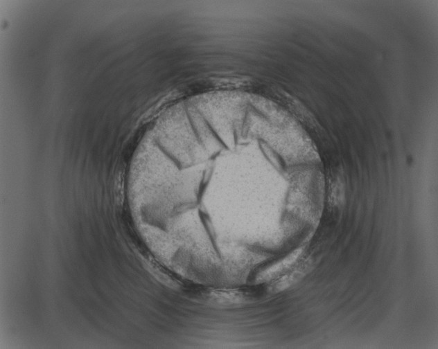 X0000087400666200705181334