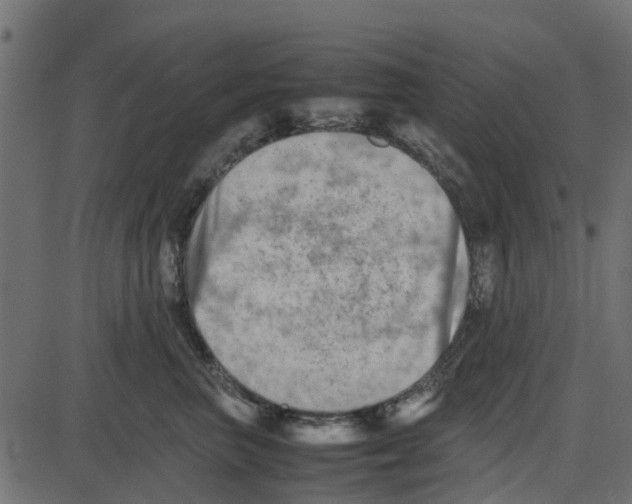 X0000087400667200705181334