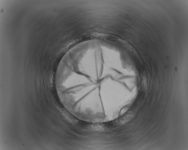 X0000087400668200705181334