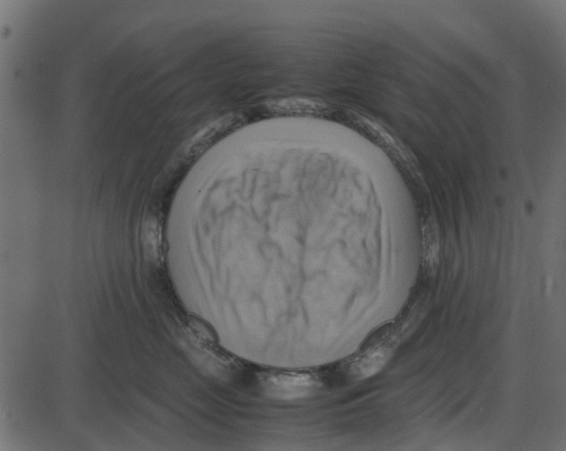 X0000087400669200705181334