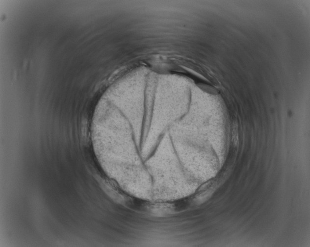 X0000087400670200705181334