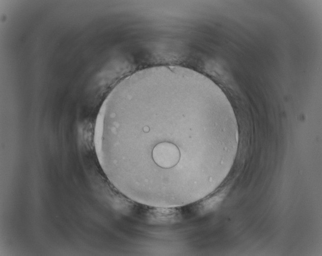 X0000087400672200705181334