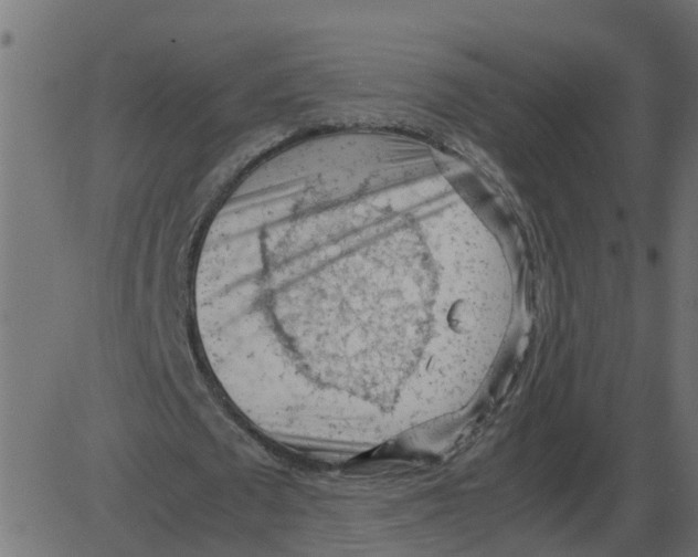 X0000087400673200705181333