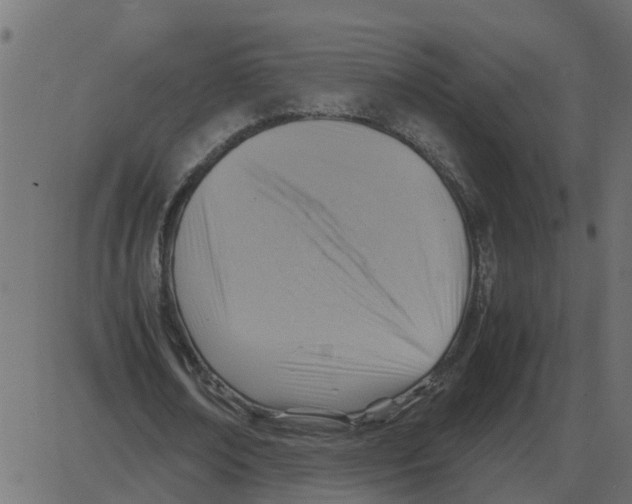 X0000087400674200705181333