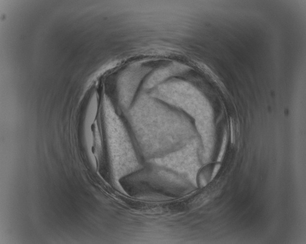 X0000087400675200705181333