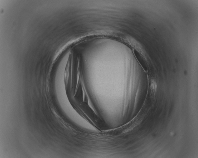 X0000087400676200705181333