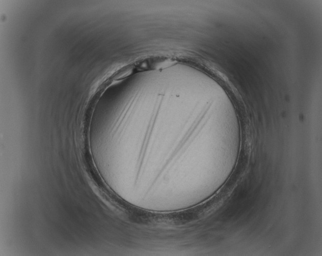 X0000087400677200705181333