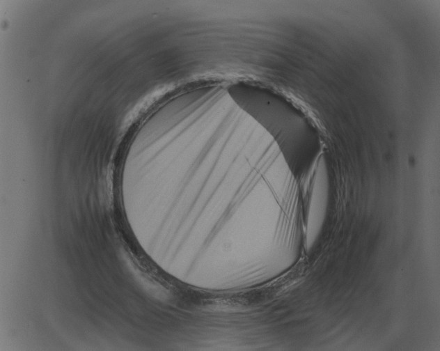 X0000087400678200705181333