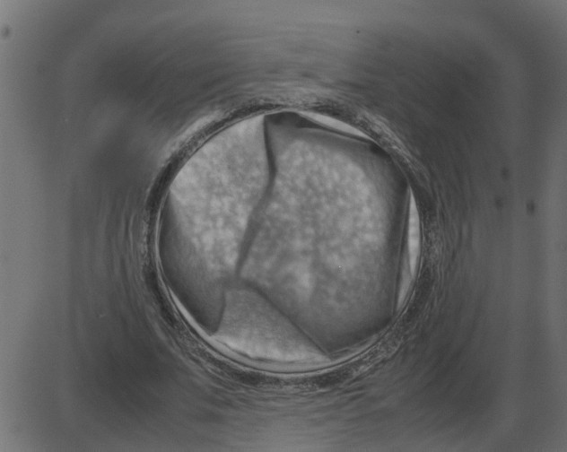 X0000087400679200705181333