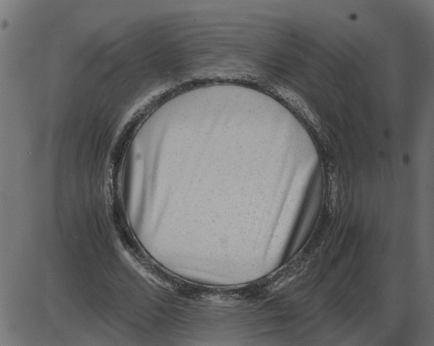 X0000087400680200705181333