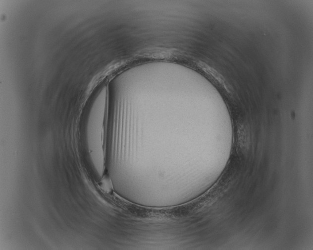 X0000087400682200705181333