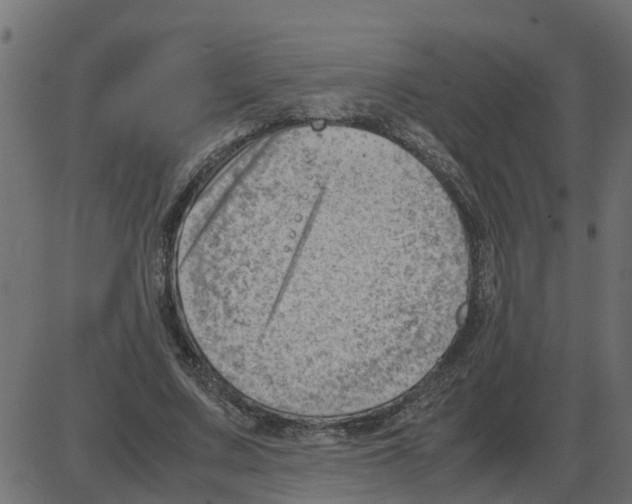 X0000087400683200705181333