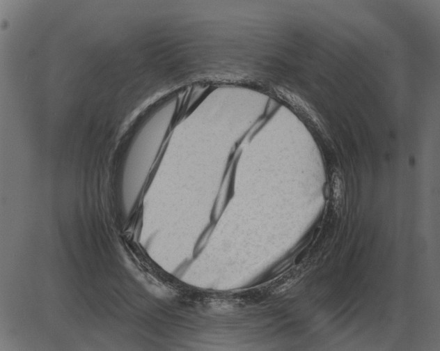 X0000087400684200705181333