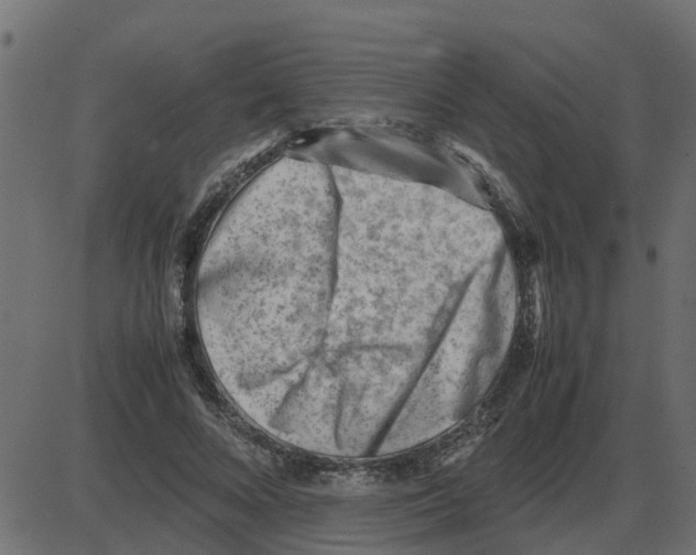 X0000087400688200705181333