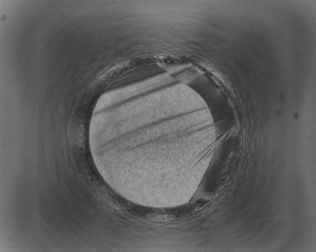 X0000087400689200705181333