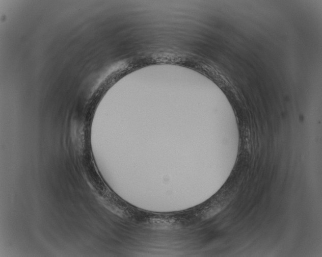 X0000087400690200705181333