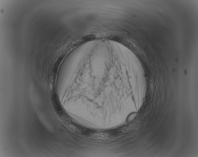 X0000087400691200705181333