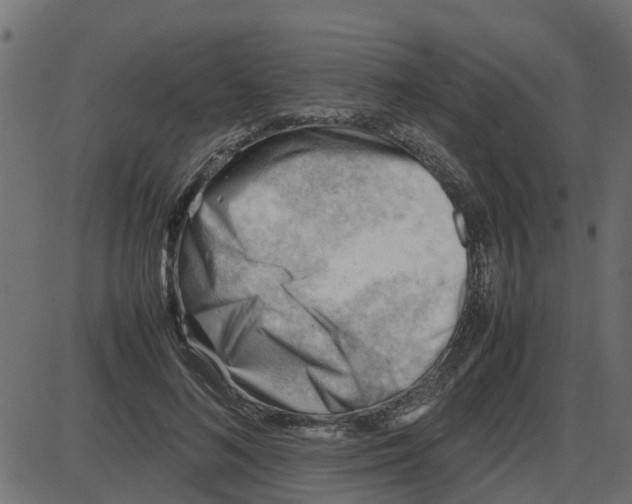 X0000087400692200705181333