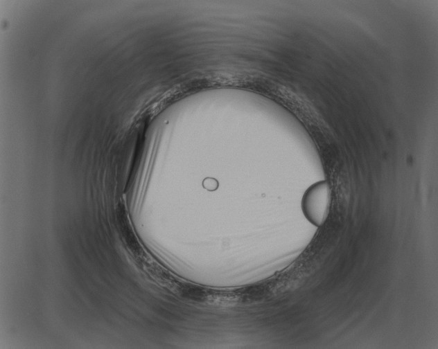 X0000087400694200705181333