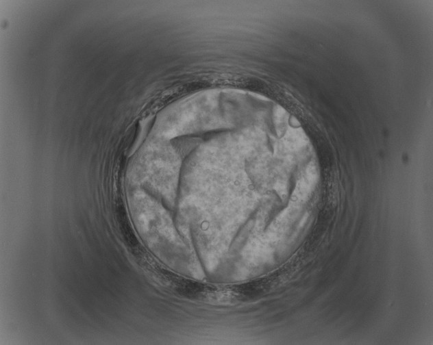 X0000087400695200705181333