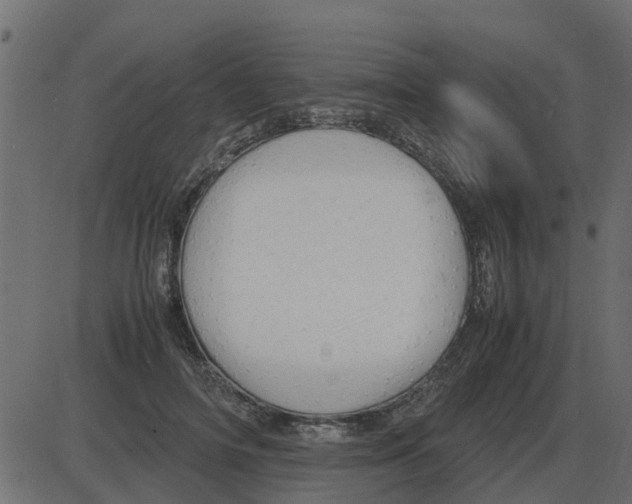 X0000087400698200705181333