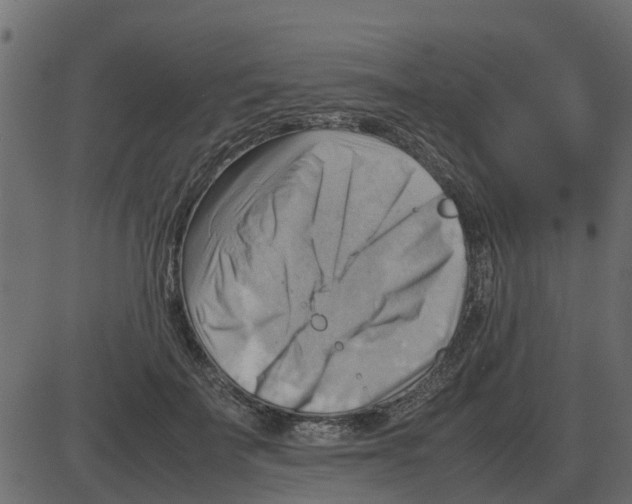 X0000087400699200705181333