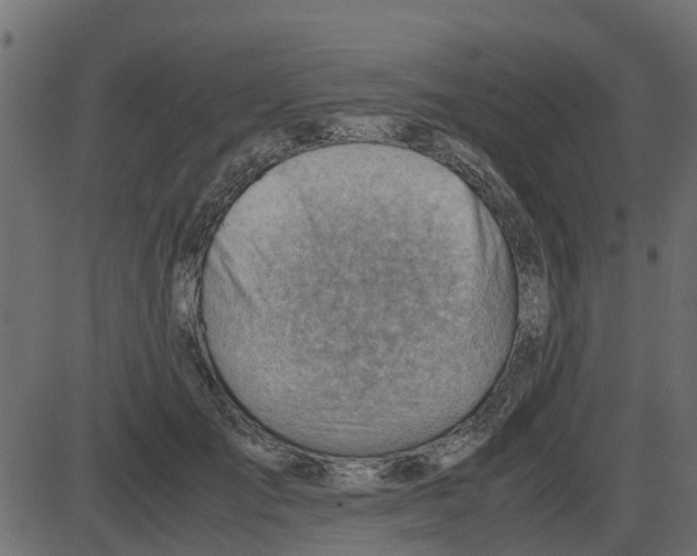 X0000087400701200705181332